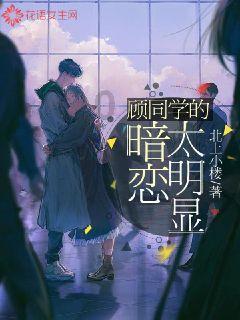 救援大胡子斗士